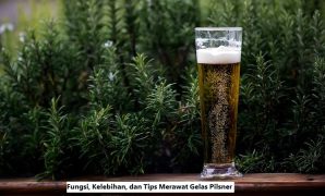 Gelas Pilsner
