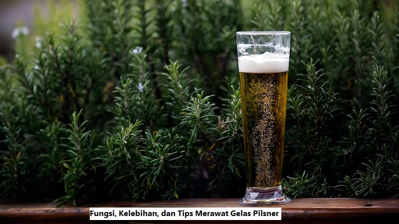 Gelas Pilsner